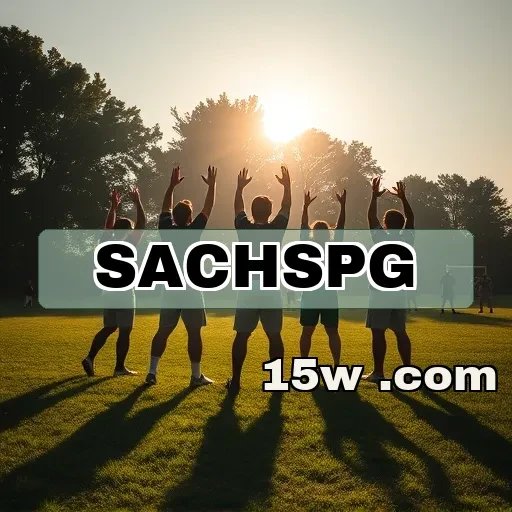 sachspg: Melhores Práticas para Se Destacar no Jogo Multijogador